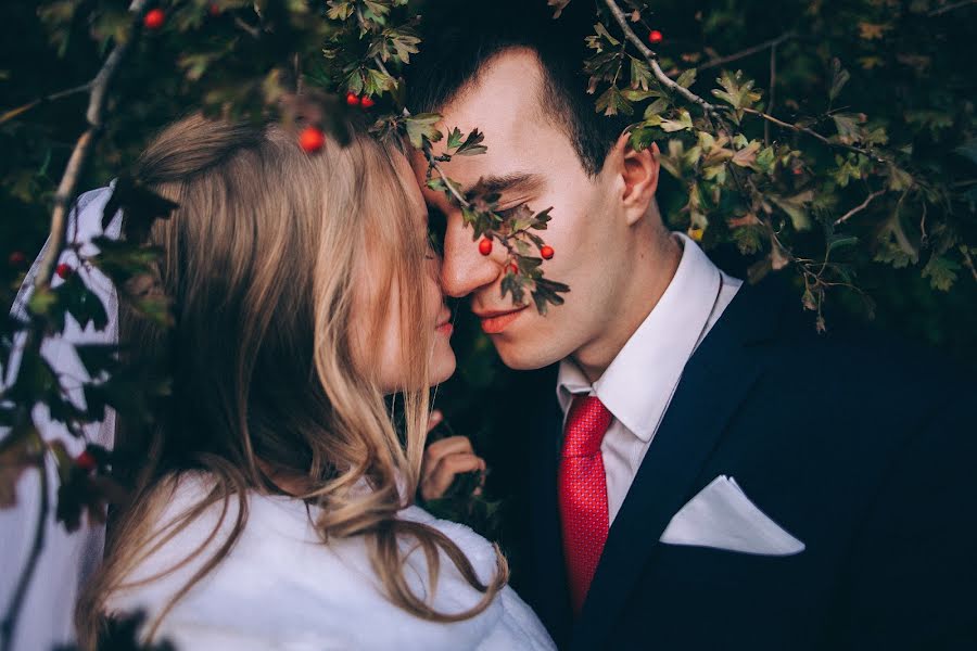 Fotógrafo de casamento Lena Kostenko (pholen). Foto de 14 de novembro 2015