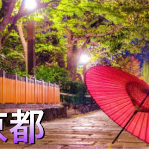 パレットSW