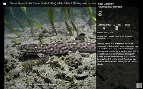 Download Reef Fishes of the East Indies APK for PC