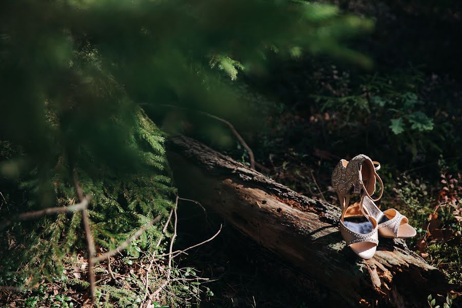 Fotógrafo de bodas Denis Zuev (deniszuev). Foto del 8 de noviembre 2018