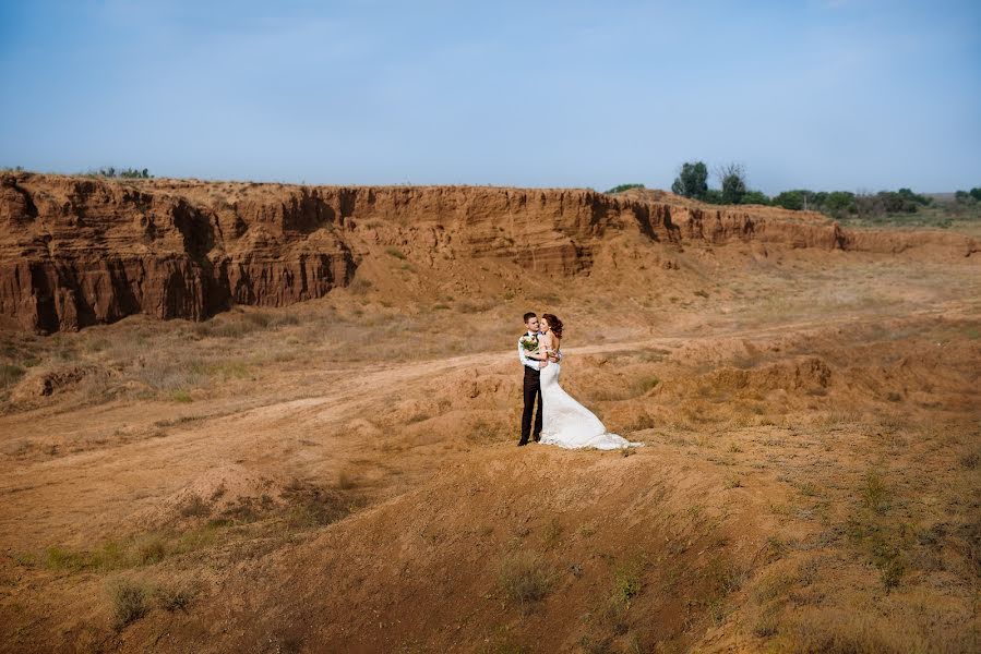 Fotógrafo de bodas Marina Lelekova (lelekova). Foto del 1 de febrero 2018