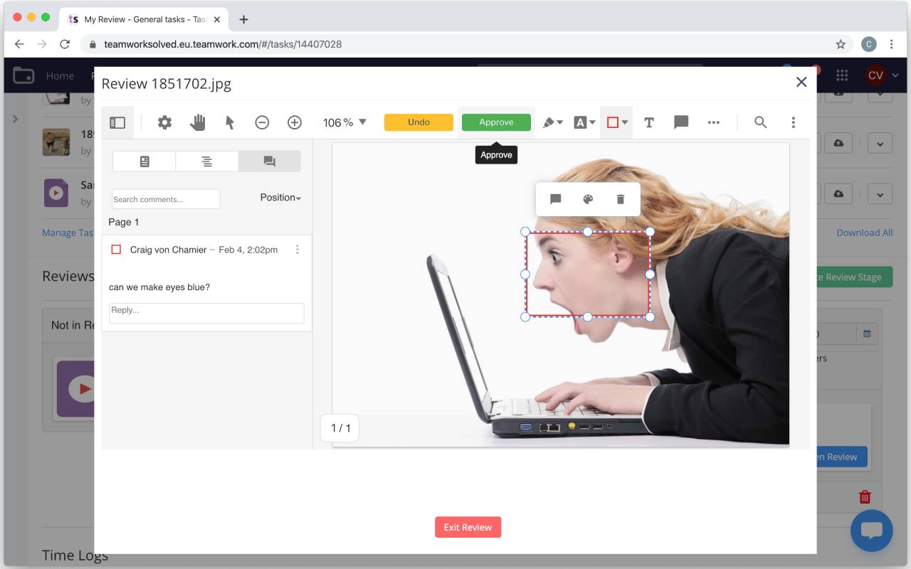 TaskReviewer (Custom Domain) for Teamwork Preview image 3