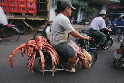 Bikes of Burden #28. Ribs.