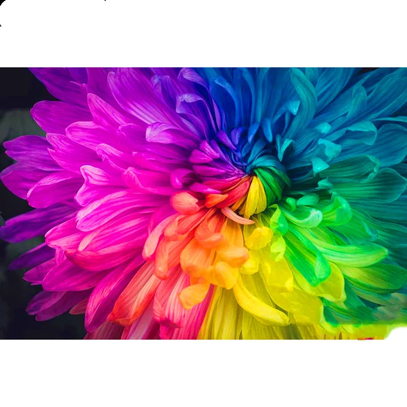 Diamond Painting Fleurs Colorées Broderie 3D Point de Croix 5D Décoration Maison Kit DIY Art Mural Relaxant Cadeau