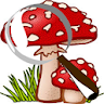 Mushroom Tracker icon