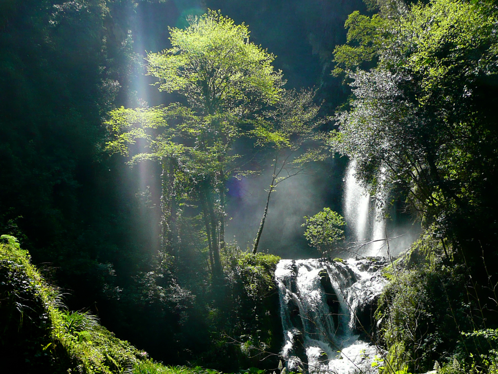 La natura di Simona Ranieri