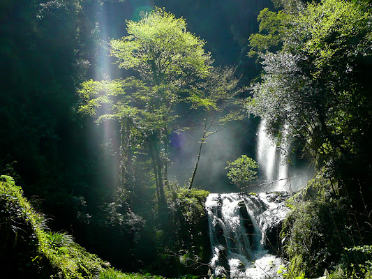 La natura di Simona Ranieri