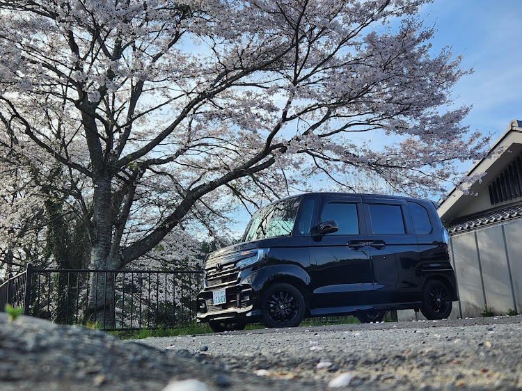 Nボックスカスタムの京都府・京丹波町・南丹市・日吉町・園部町・八木町・美山町・亀岡市・兵庫県・篠山市・丹波篠山市・サクラと愛車・桜コラボ！！・頑張れ石川！！・コロナに負けるな！に関するカスタム事例の投稿画像16枚目
