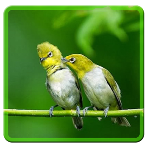 Zosterops Birdsounds(Pleci).apk 1.4