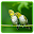 Zosterops Birdsounds(Pleci) Download on Windows