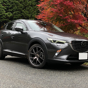 CX-3 DK5AW