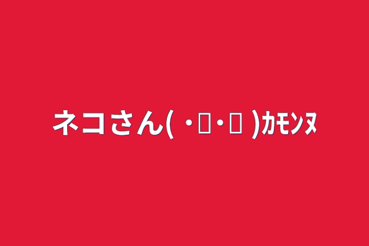 「ネコさん( ˙꒳​˙ᐢ )ｶﾓﾝﾇ」のメインビジュアル