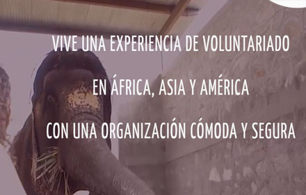 Voluntariado Internacional small promo image