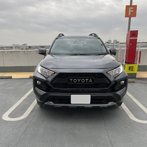 RAV4 MXAA54