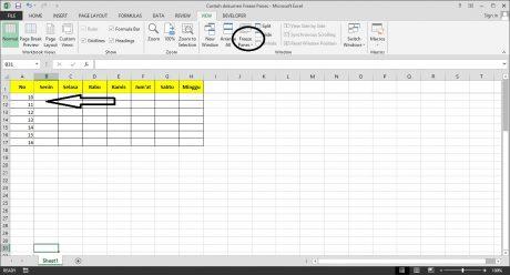 Freeze Panes di Microsoft Excel