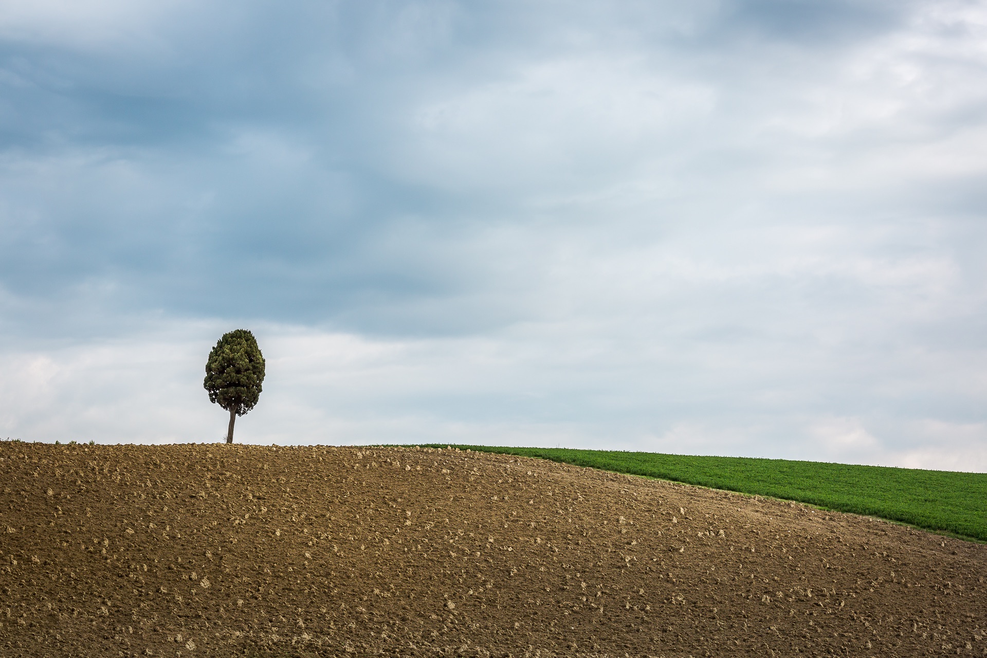 Lonely tree di Nico Angeli Photography