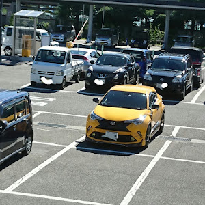 C-HR ZYX10