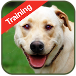 Dog Training Apk