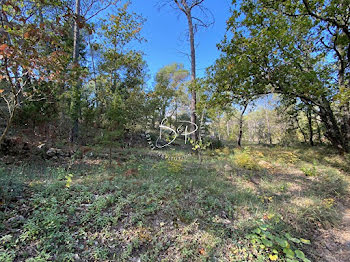 terrain à Lorgues (83)