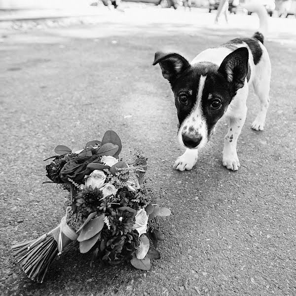 Bryllupsfotograf Aleksey Kozlov (kozlove). Bilde av 18 april 2016