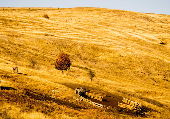 Colline arancioni di Bobp