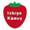 Item logo image for Kamuy Console