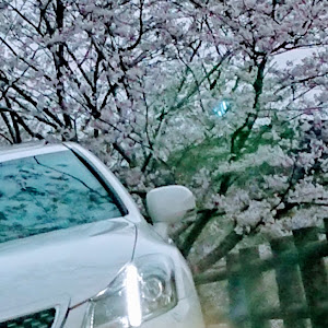 クラウンアスリート GRS200