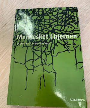 Mennesket i hjernen