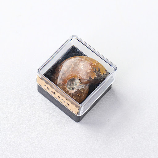 Title 5, Natural Crystal Ore Mineral Specimen Decoration...