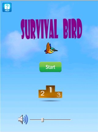 Survival Bird