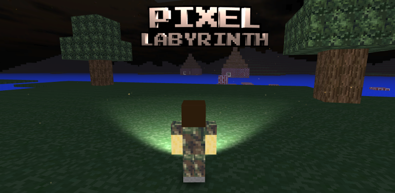 Pixel Labyrinth