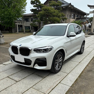 X3 xDrive 30e