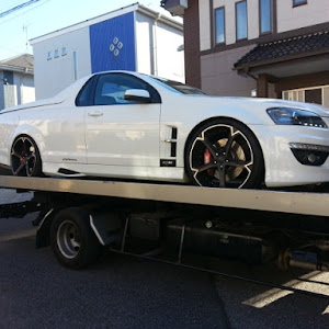 MALOO R8