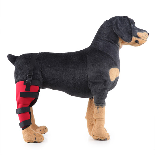 Title 14, Pet leg rehabilitation foot support. Aids in re...