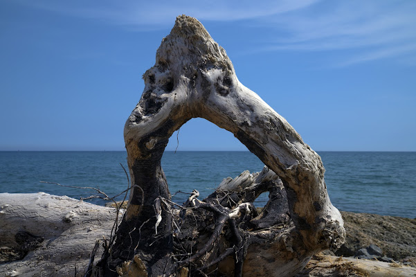 il confine tra terra e mare di frapio59