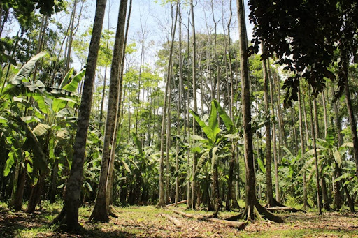 Appartement en bord de mer 3