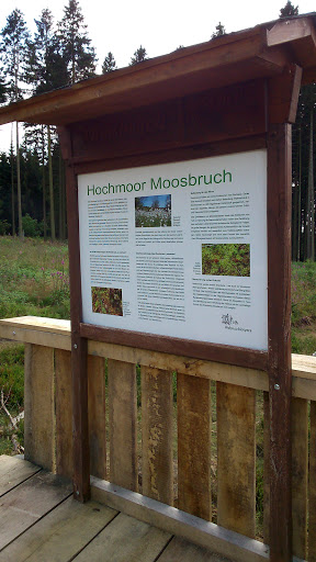 Hochmoor Moosbruch 