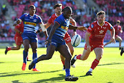 Seabelo Senatla of Stormers gets the ball away during their URC match against Scarlets on Saturday. 
