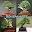 Beautiful Bonsai Arts Download on Windows