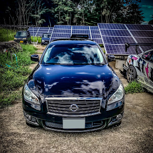 フーガ Y51