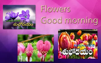 Telugu Good Morning Greetings Apps On Google Play