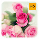 Pink Roses Wallpaper HD New Tab Theme©