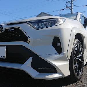 RAV4 MXAA54