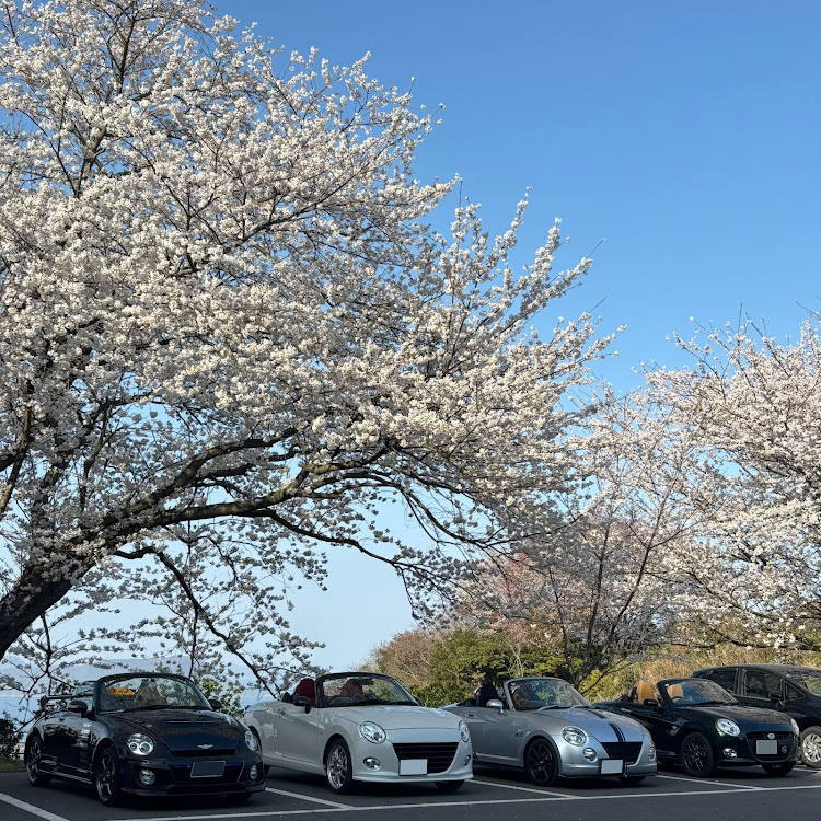 コペンの桜と愛車・春の風物詩と愛車に関するカスタム事例の投稿画像3枚目