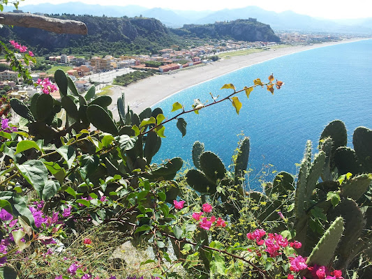 Natura selvaggia a milazzo di Mimmo79