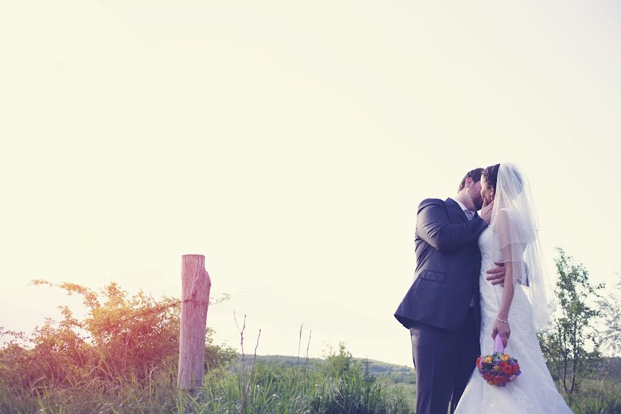 Fotografo di matrimoni Petra Pakó (petrapako). Foto del 3 luglio 2016