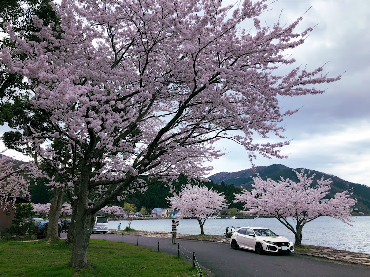 シビックタイプRのシビックタイプR・ワンオクさんを探せ・桜と愛車・桜とコラボ・琵琶湖に関するカスタム事例の投稿画像1枚目