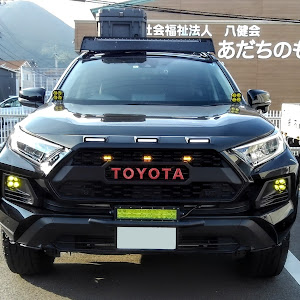 RAV4 MXAA54