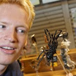 Eating Tarantula's at the Backstreet Osaka Tours in Osaka, Japan 