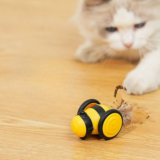 Title 6, Electric Cat Car Toy